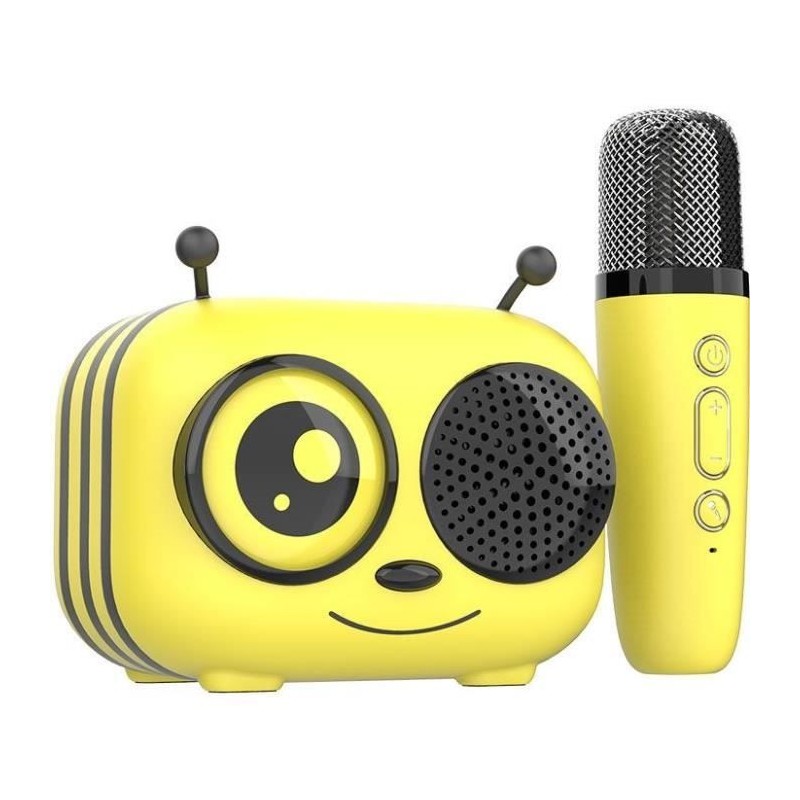 Kit karaoké / Enceinte Bluetooth et micro sans fil - CGV - MAYA, Effe