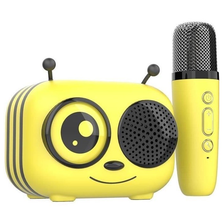 Kit karaoké / Enceinte Bluetooth et micro sans fil - CGV - MAYA, Effets voix magiques, Autonomie 8h, Recharge USB