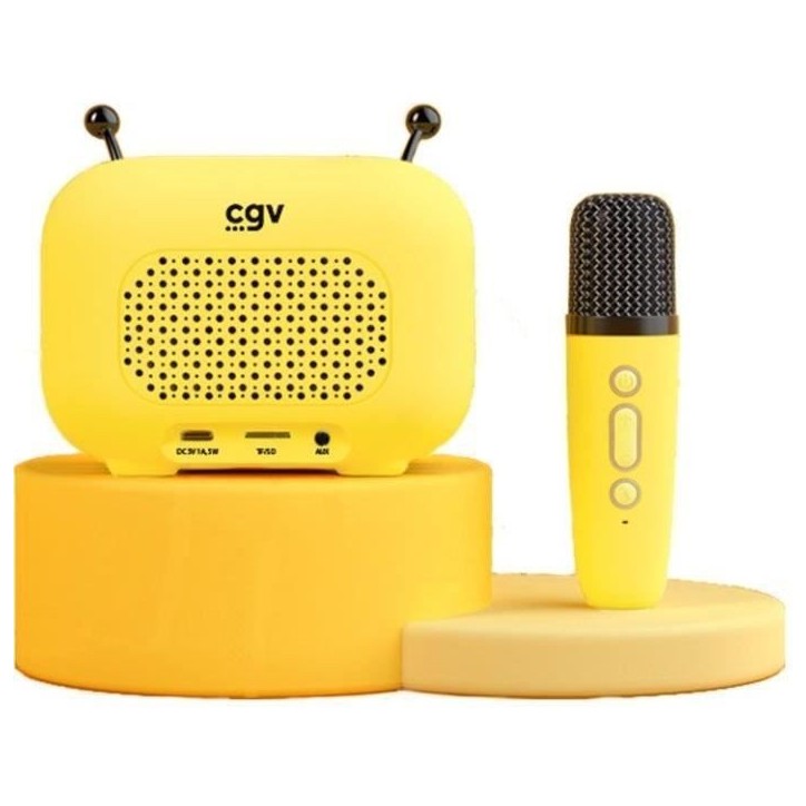 Kit karaoké / Enceinte Bluetooth et micro sans fil - CGV - MAYA, Effets voix magiques, Autonomie 8h, Recharge USB