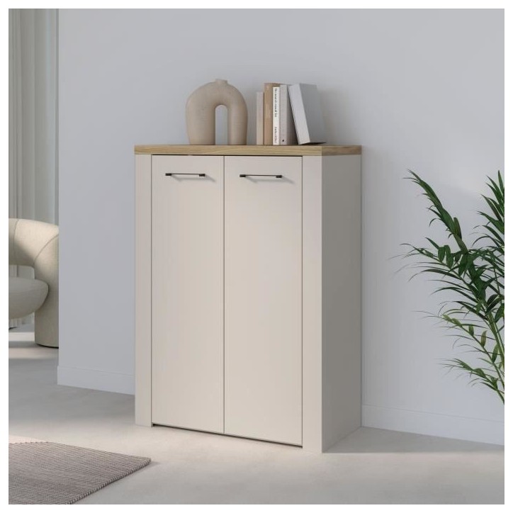 Armoire a chaussures - NELLEKE - Sable / Bois - 2 portes - 20 paires - 86,3 x 41,3 x 118,3 cm Armoire a chaussures - NELLEKE - Sable / Bois - 2 portes - 20 paires - 86,3 x 41,3 x 118,3 cm