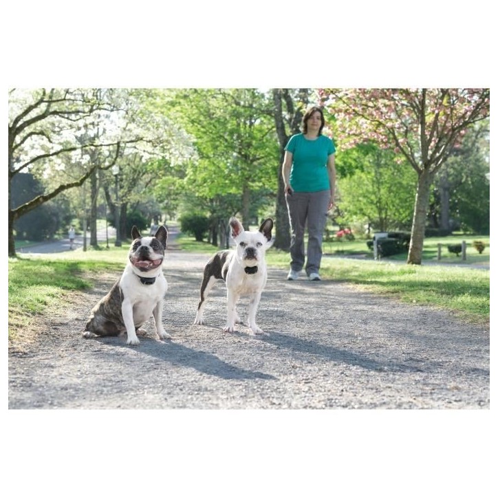 Systeme de Dressage pour Chien - PetSafe - 300m - Stimulation Electrostatique Douce - Rechargeable Systeme de Dressage pour Chien - PetSafe - 300m - Stimulation Electrostatique Douce - Rechargeable