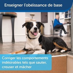Collier de Dressage pour 2 Chiens - PetSafe - Portée 600m - Rechargea
