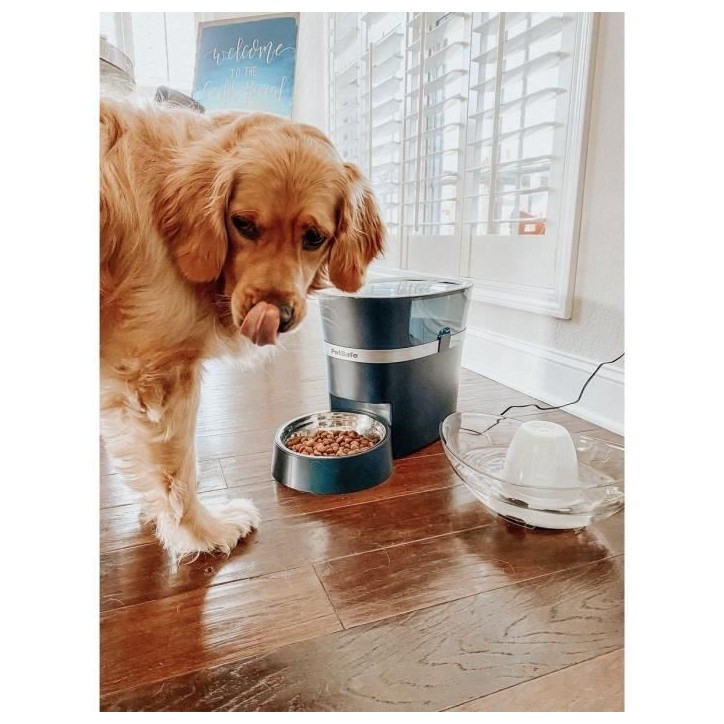 PetSafe - Distributeur de Croquettes Automatique Connecté Smart Feed pour Chien/Chat, avec minuterie, bol en acier inoxydable,