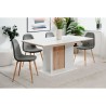 Table extensible - ARONA - Rectangulaire - 10 personnes - 160/200 x 76