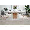 Table extensible - ARONA - Rectangulaire - 10 personnes - 160/200 x 76