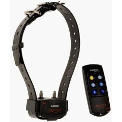 Collier de dressage CANICOM 200 First - Portée 200 metres - Pour 1 ch