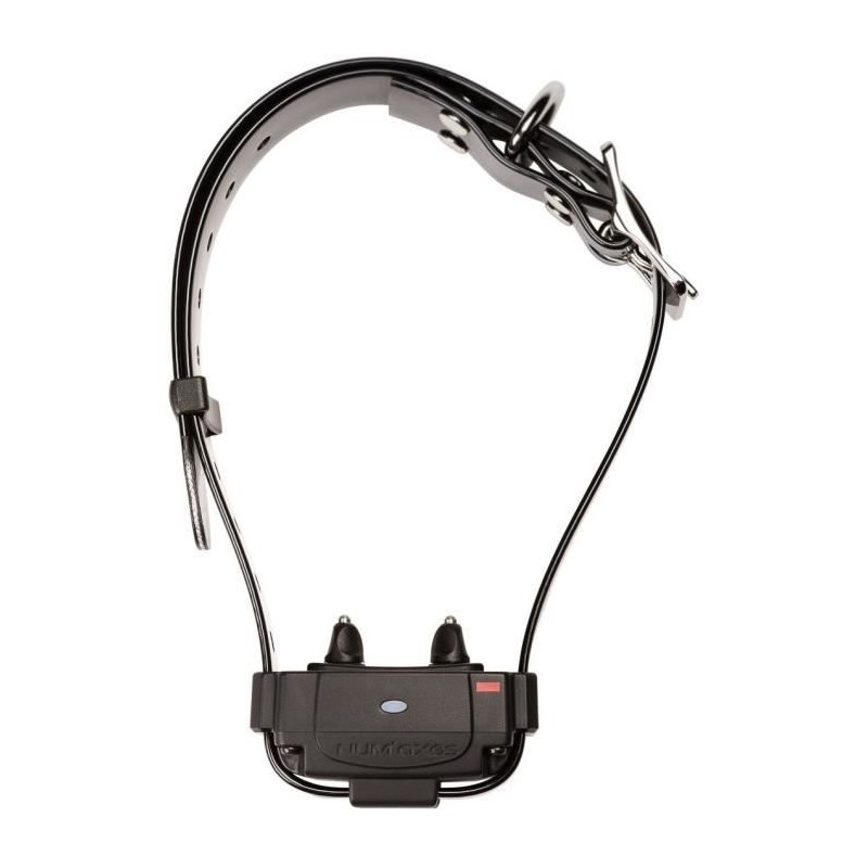 Collier anti-fugue - NUM'AXES - CANIFUGUE FUG1034 - Noir Collier anti-fugue - NUM'AXES - CANIFUGUE FUG1034 - Noir