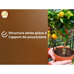 Terreau agrumes et plantes méditéranéeennes - OR BRUN - OBRTAG20N -