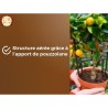 Terreau agrumes et plantes méditéranéeennes - OR BRUN - OBRTAG20N -