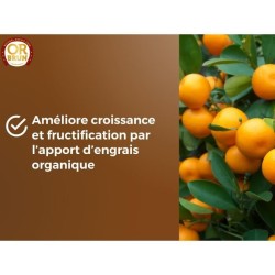 Terreau agrumes et plantes méditéranéeennes - OR BRUN - OBRTAG20N -