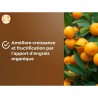 Terreau agrumes et plantes méditéranéeennes - OR BRUN - OBRTAG20N -