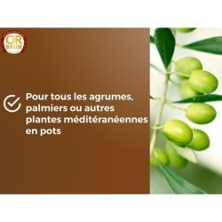 Terreau agrumes et plantes méditéranéeennes - OR BRUN - OBRTAG20N -