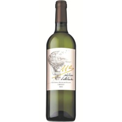 113 metres d'altitude Graves - Vin blanc de Bordeaux 2024