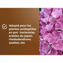 Terreau spécial plantes de bruyere - OR BRUN - OBRTBRU6U - 6L - Meill