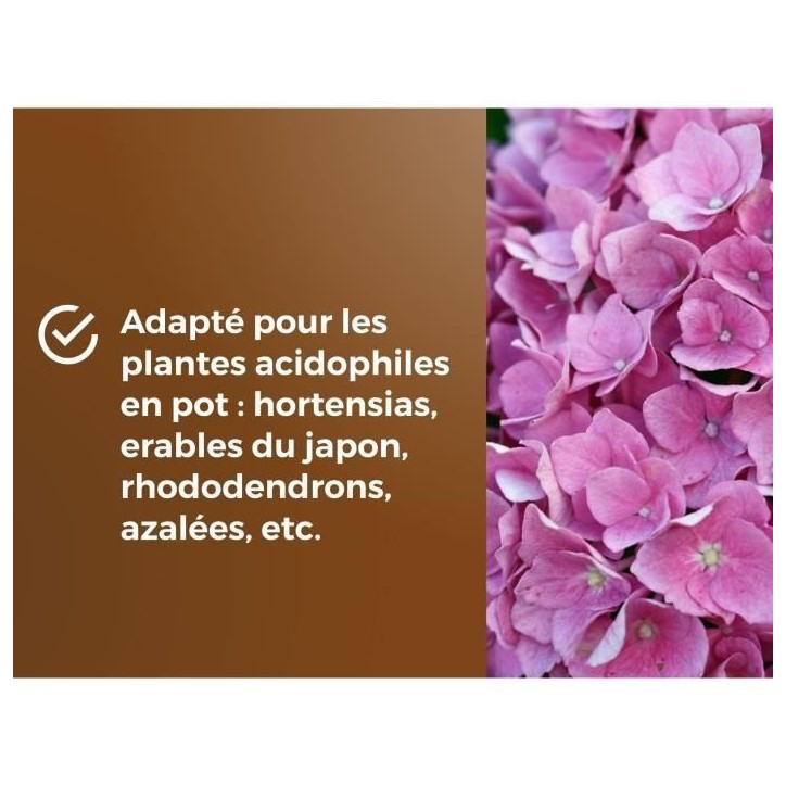 Terreau spécial plantes de bruyere - OR BRUN - OBRTBRU6U - 6L - Meilleur enracinement Terreau spécial plantes de bruyere - OR BRUN - OBRTBRU6U - 6L - Meilleur enracinement