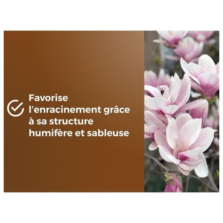 Terreau spécial plantes de bruyere - OR BRUN - OBRTBRU6U - 6L - Meilleur enracinement Terreau spécial plantes de bruyere - OR BRUN - OBRTBRU6U - 6L - Meilleur enracinement