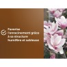 Terreau spécial plantes de bruyere - OR BRUN - OBRTBRU6U - 6L - Meill