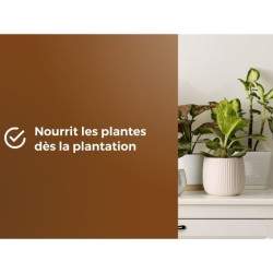 Terreau rempotage universel - OR BRUN - OBRTREM6U - 6L - Améliore la