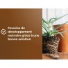 Terreau rempotage universel - OR BRUN - OBRTREM6U - 6L - Améliore la
