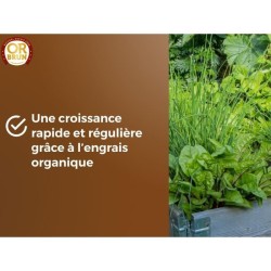 Terreau potager & Plantes aromatiques - OR BRUN - OBRTARO6U - 6L - Cro