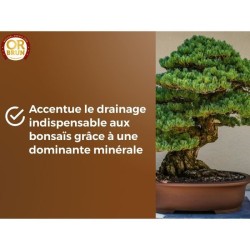 Terreau bonsais - OR BRUN - OBRTBON6U - 6L - Meilleur enracinement