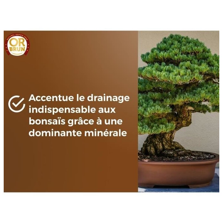 Terreau bonsais - OR BRUN - OBRTBON6U - 6L - Meilleur enracinement