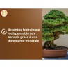 Terreau bonsais - OR BRUN - OBRTBON6U - 6L - Meilleur enracinement