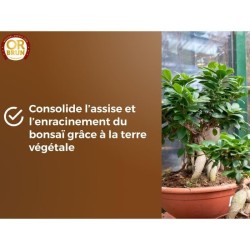 Terreau bonsais - OR BRUN - OBRTBON6U - 6L - Meilleur enracinement