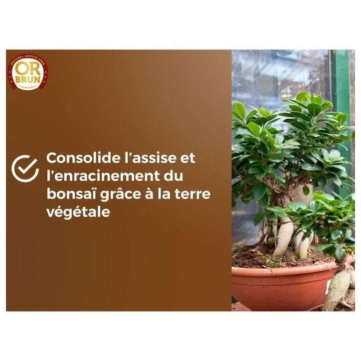 Terreau bonsais - OR BRUN - OBRTBON6U - 6L - Meilleur enracinement