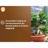 Terreau bonsais - OR BRUN - OBRTBON6U - 6L - Meilleur enracinement