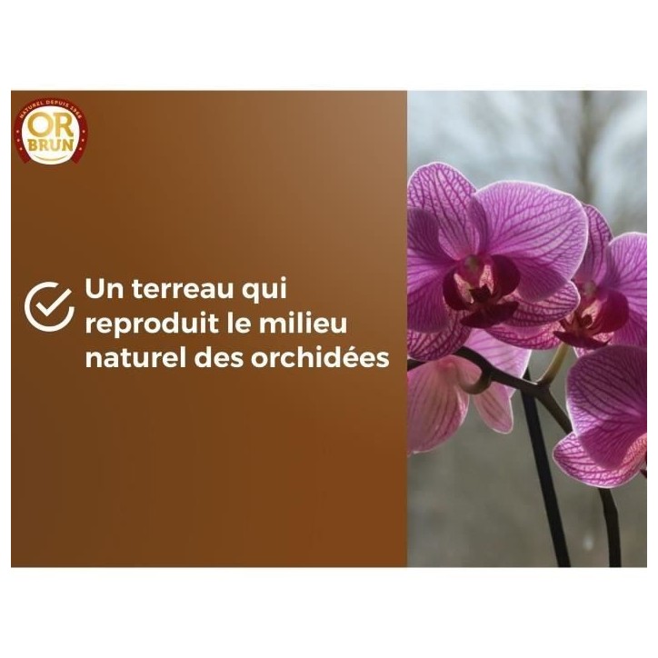 Terreau orchidées - OR BRUN - OBRTORC6U - 6L - Favorise la croissance Terreau orchidées - OR BRUN - OBRTORC6U - 6L - Favorise la croissance