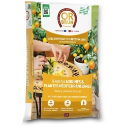 Terreau agrumes & Plantes méditerranéennes - OR BRUN - OBRTAGR6U - 6