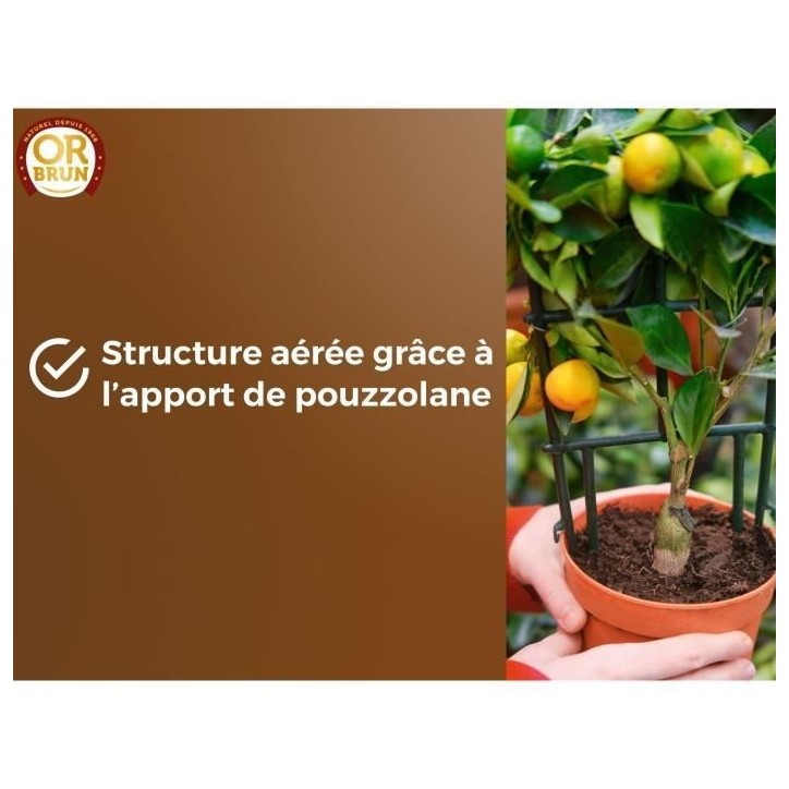 Terreau agrumes & Plantes méditerranéennes - OR BRUN - OBRTAGR6U - 6L - Oliviers Palmiers & Cycas Terreau agrumes & Plantes méditerranéennes - OR BRUN - OBRTAGR6U - 6L - Oliviers Palmiers & Cycas