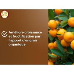 Terreau agrumes & Plantes méditerranéennes - OR BRUN - OBRTAGR6U - 6