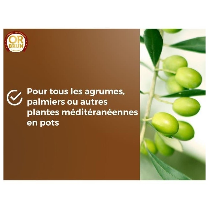 Terreau agrumes & Plantes méditerranéennes - OR BRUN - OBRTAGR6U - 6L - Oliviers Palmiers & Cycas Terreau agrumes & Plantes méditerranéennes - OR BRUN - OBRTAGR6U - 6L - Oliviers Palmiers & Cycas