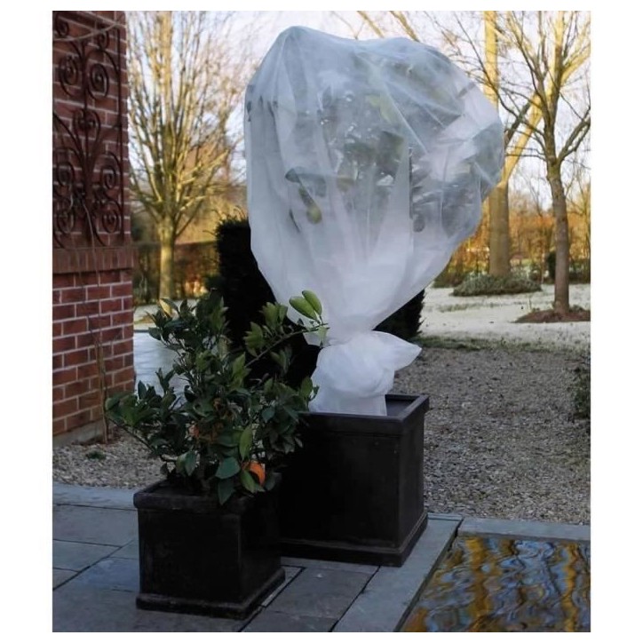Nature Couverture en polaire d'hiver 30 g/m² Blanc 2x10 m