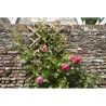 Treillis extensible - NATURE - En bambou - 70 x 180 cm