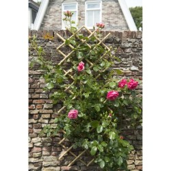 Treillis extensible - NATURE - En bambou - 70 x 180 cm