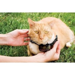 PetSafe - Clôture Anti-Fugue Deluxe avec Collier spécial Chat - Éta