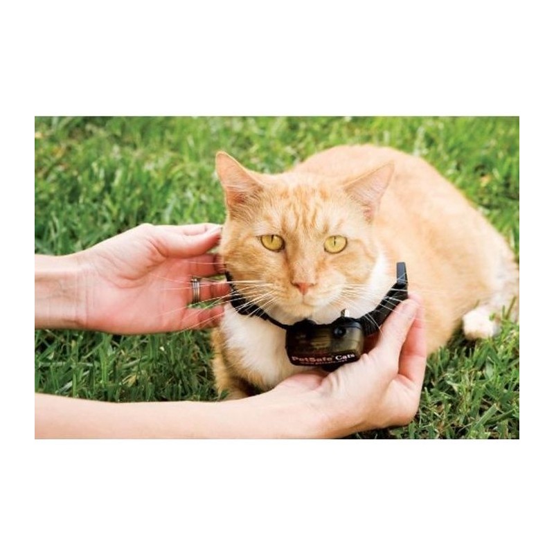 PetSafe - Collier supplémentaire pour clôture anti-fugu chat, 4 nive