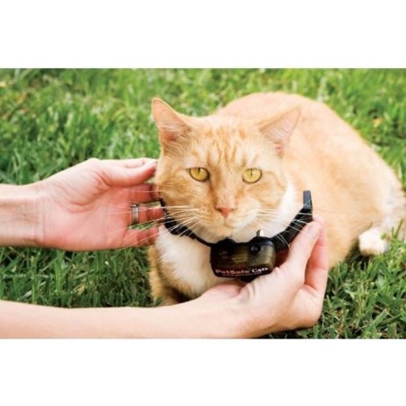 PetSafe - Collier supplémentaire pour clôture anti-fugu chat, 4 nive