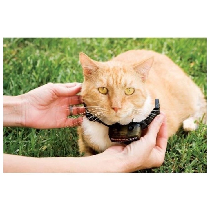 PetSafe - Collier supplémentaire pour clôture anti-fugu chat, 4 niveaux de stimulation, léger, réglable et anti-étranglemen PetSafe - Collier supplémentaire pour clôture anti-fugu chat, 4 niveaux de stimulation, léger, réglable et anti-étranglemen