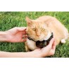 PetSafe - Collier supplémentaire pour clôture anti-fugu chat, 4 nive
