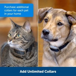PETSAFE Collier supplémentaire Mini Barrier - Noir - Pour chat et chi
