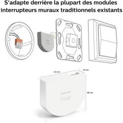 Module d'interrupteur mural - PHILIPS HUE - Pack de 2 - Blanc - Compat