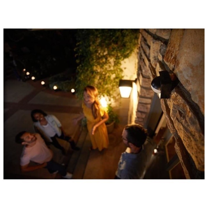 Détecteur de mouvement extérieur Philips Hue - PHILIPS - Outdoor Sensor - Noir - Alexa - Angle de détection 160°