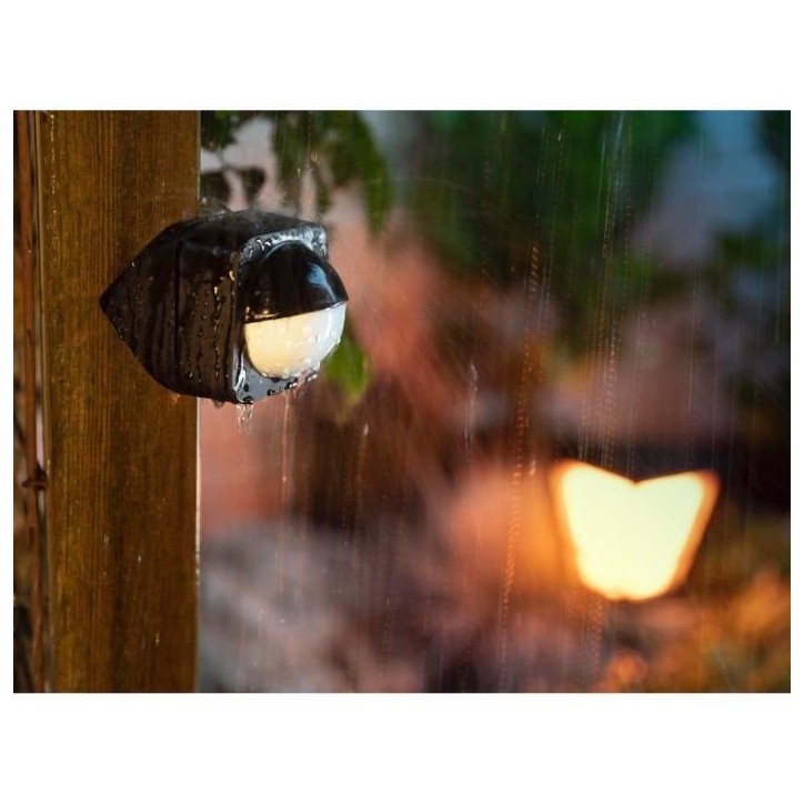 Détecteur de mouvement extérieur Philips Hue - PHILIPS - Outdoor Sensor - Noir - Alexa - Angle de détection 160°