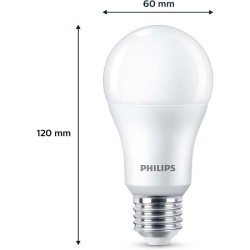 Ampoule LED - PHILIPS - 100 W - A67 E27 - Blanc froid - Non dimmable x 3