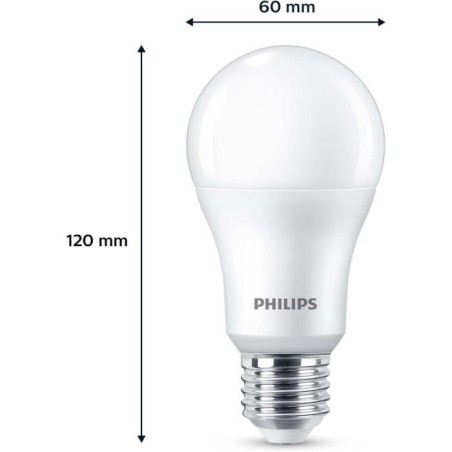 Ampoule LED - PHILIPS - 100 W - A67 E27 - Blanc froid - Non dimmable x 3