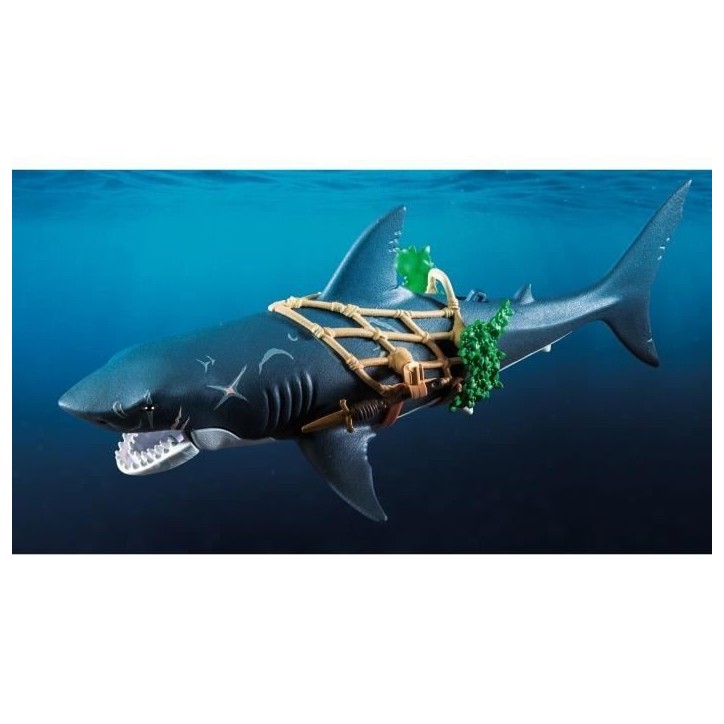 PLAYMOBIL 71793 Pirate et requin avec mâchoire articulée, Les pirates, 21 pieces, Des 4 ans